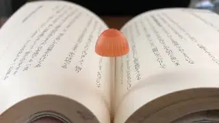 Bookmarks Magic Sprout /