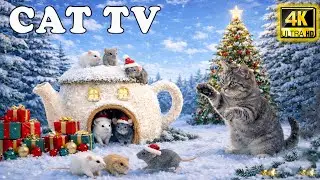 Cat TV for Cats 🐭 Fast Real Mice Everywhere! Run & Hide Maze | Stress-Relief Cat Entertainment