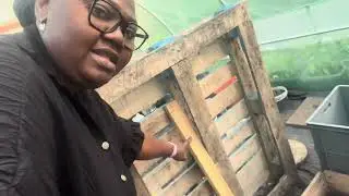 DIY Pallet Planter Stand 🌿 | My Greenhouse Winter Prep from B&Q Shopping to Setup!
