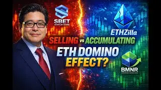 ETH Treasury Chaos: What&rsquo;s Really Happening Behind the Scenes