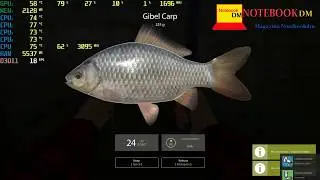 Russian fishing 4 em Notebook  Acer Nitro 5 AN515-51-50U2 com GTX 1050  notebookdm