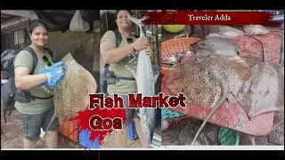 Have You been in a Fish Market in Goa। Local Fish Market Panjim Goa। North Goa। Traveler Adda