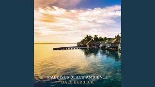 Relaxing Jazz Music