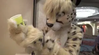 Biggest Little Fur Con 2016