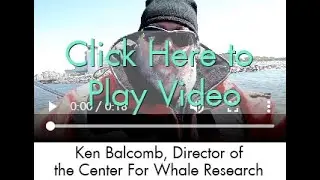 Ken Balcomb