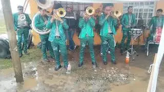 Banda la suprema del tiburon temamatla 2025.