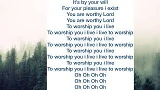 To Worship You I Live- Matt Gillman