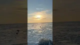 🆘Мы отправили вторую лодку, чтобы пройти оставшуюся часть территории моря😢