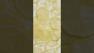 Lemon Background Video  I portrait I Copyright free #backgroundvideo #lemon #food #potrait