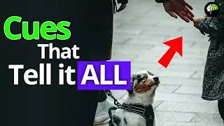 How to Analyze People - Cues that tell it ALL | Psychology | Mind Control