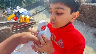 ছাদে cricket খেললাম আমরা 🏏😱🤣|| #svarmy #bengalivlogger 