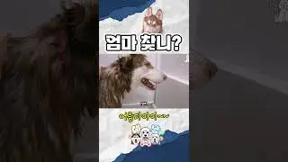 목욕중에 엄마찾는 허스키