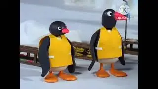 Pingu Sledge Academy (1996)