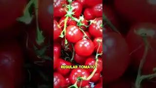 Tomatoes for Heart Health