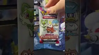 Day 6 of opening the pokemon christmas calendar for the run up to christmas #pok&eacute;mon #christmas