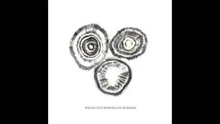Welington Irish Black Warrior - s/t (FULL ALBUM)