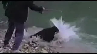мужик будем делиться