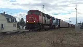 CN 8955 leads CN 402 with a loud K5LLA - L'&Icirc;le-Verte - April 20th 2024