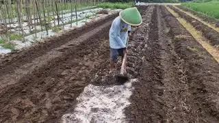 SMART FARMING TRICKS: MIXING DOLOMITE LIME IN PLANTING RATES WITH SIMPLE TOOLS! -Agriculture Farming