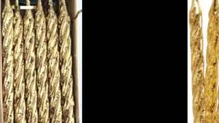 Gold Candles