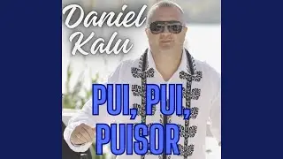 Pui, Pui, Puisor