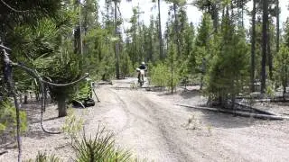 KTM 500 EXC Wheelies Over Log with MoJavi Saddlebag, Buckin' Roll Tank Bag
