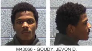 Miscarriage of Justice in Will County