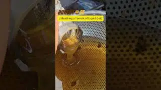 Unleashing a Torrent of Liquid Gold