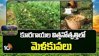Techniques in Vegetable Seed Production | కూరగాయల విత్తనోత్పత్తిలో మెళకువలు | Matti Manishi | 10TV