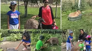 Kangaroo farm visit , enjoyed a lot #2025 #canada 