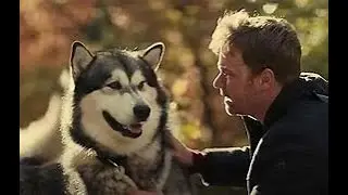 HERO DOG  THE JOURNEY HOME 2021 Trailer HD