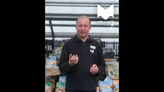 Seed potatoes in stock at Moss & Moor