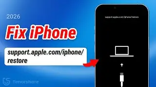 How to Fix the support.apple.com/iphone/restore Error on iPhone &ndash; Top 6 Solutions (2026)