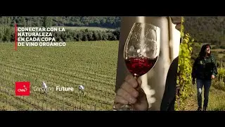 #ChileCreatingFuture  - Conectar con la naturaleza en cada copa de vino org&aacute;nico  | Marca Chile