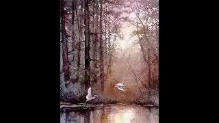 aquarels and acryl about forests, from Pinterest