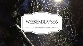WEEKENDLAPSE 6