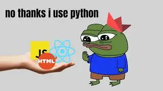 I Became a Python Frontend Developer