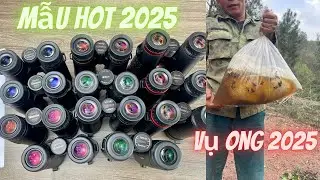 Thanh L&yacute; Ống Nh&ograve;m Shuntu 10x42ed 8x Eyeskey 10x Ed Captor Gi&aacute; Chỉ Từ Hơn 2000k Si&ecirc;u N&eacute;t