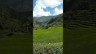 pahadi view #pahadi Beats #nature #nainital #uttarakhandheaven