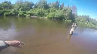 Deshka Wilderness Lodge Fly Fishing