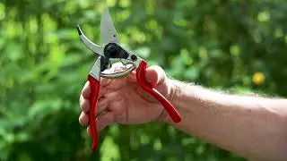 kertmotor.hu Metsz&eacute;s &oacute;ra (1): A metszőoll&oacute; r&eacute;szei