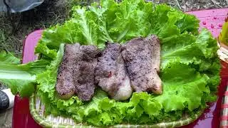 Beautiful Girl Cooking    BBQ & Grilled Beef Recipes    Primitive Food HB 20