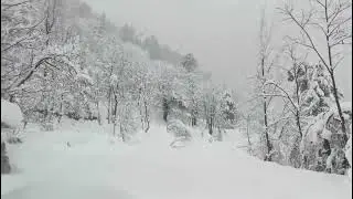 Murree and Galiyat Frozen Heavy Snowfall Shocks Tourists | Winter Storm Pakistan People Alert travel