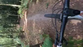#vitus escarpe 29crs