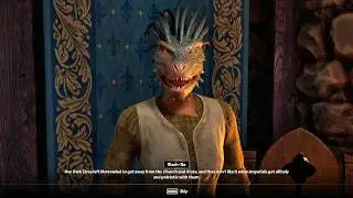 All truth about Dark Elves and Imperials of Cheydinhal from educated Argonian. Oblivion Remastered