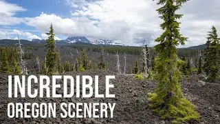 McKenzie Highway: Incredible Scenic Drive Along Oregon 242, McKenzie Pass
