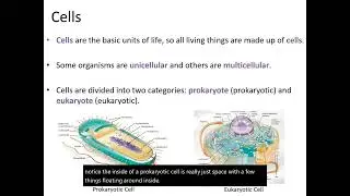 Introduction to Cells: Prokaryotic vs. Eukaryotic Cell