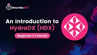 An Introduction to HydraDX in Hindi | DescribeDot