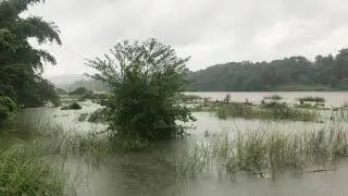 Kerala Fishing in heavy rain#fishing#netfishing#heavyrain#kerala#keralarains