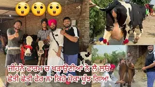 10 August 2025 ਫੋਨ 98141-78121 👈 6-7 ਵੈੜਾ ਤਾਜੀਆ ਸੂਈਆ ਬਹੁਤ ਬਰੀਡ ਆਲੀਆ ਫੋਜੀ ਸਾਹਬ ਕੋਲ 😲😲